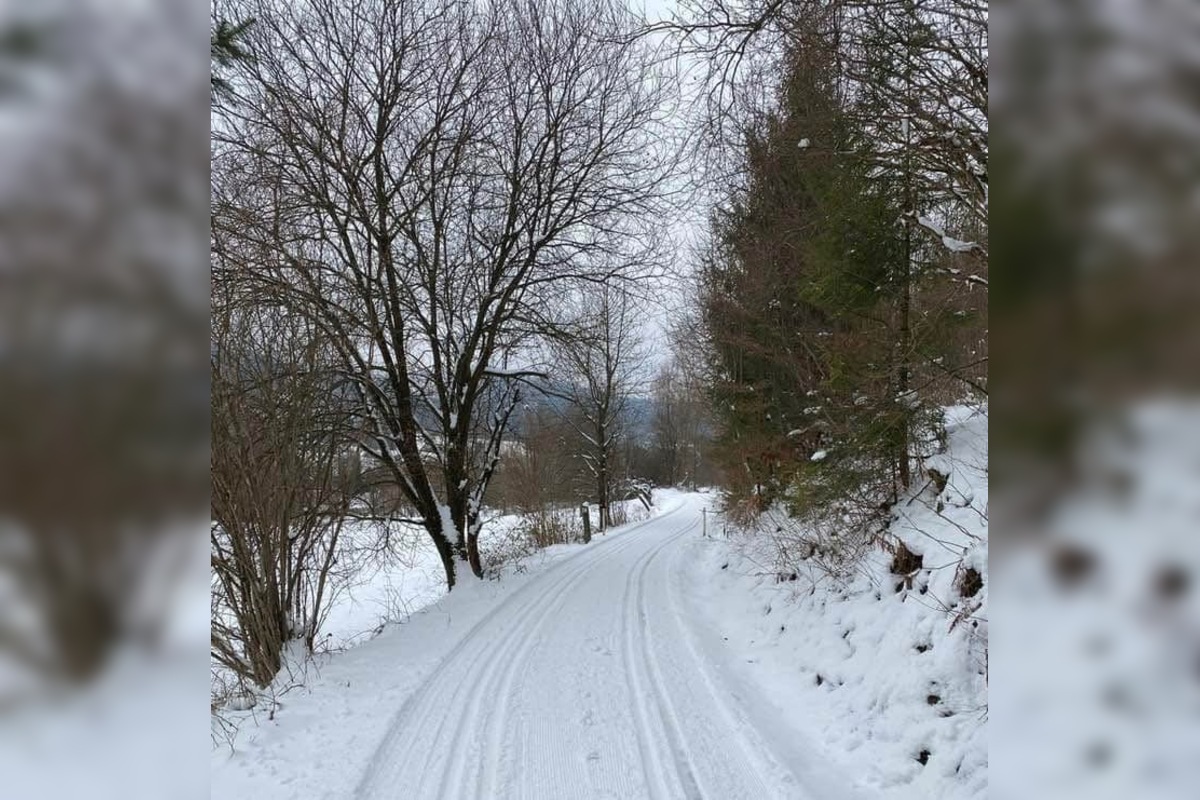 FOTO: Bežkárske trasy v Žilinskom kraji, foto 1