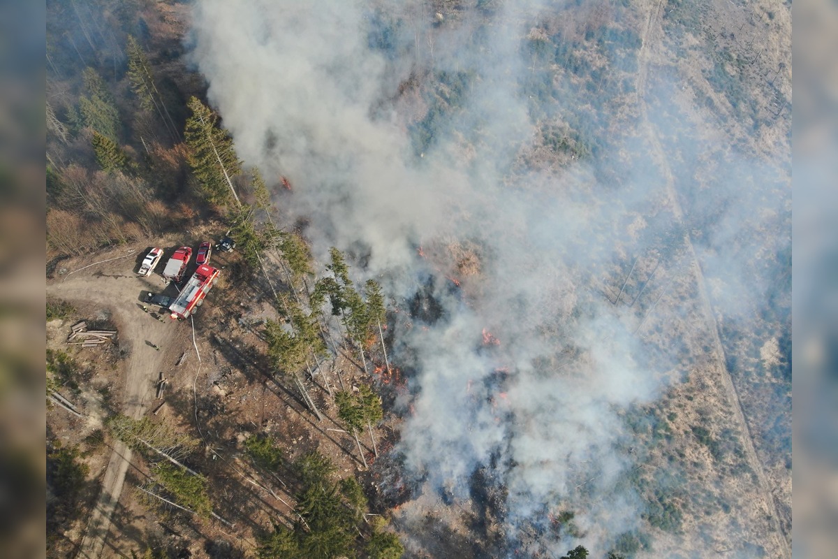 FOTO: Hasenie lesných požiarov 2025, foto 1