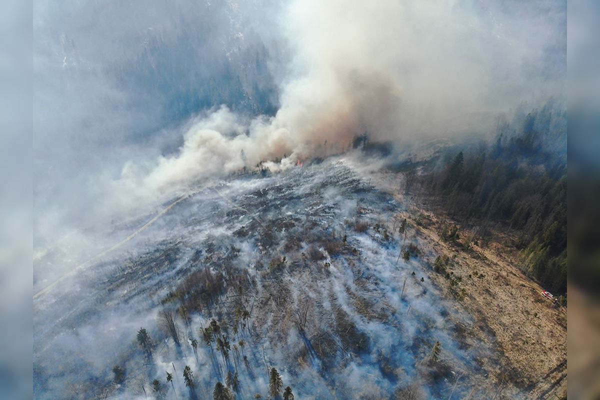FOTO: Hasenie lesných požiarov 2025, foto 2