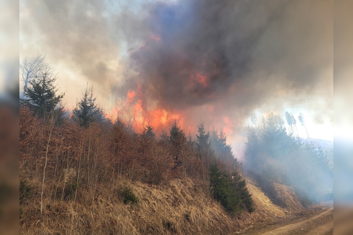 FOTO: Hasenie lesných požiarov 2025, foto 3