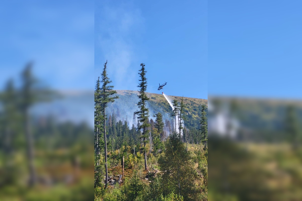 FOTO: Hasenie lesných požiarov 2025, foto 5