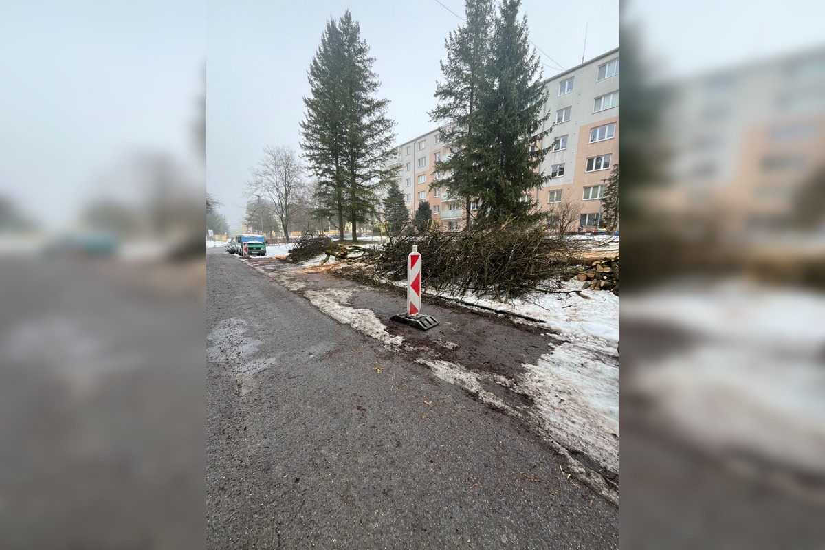 FOTO: Výrub stromov pri detskom ihrisku v Žiline pobúril obyvateľov , foto 2
