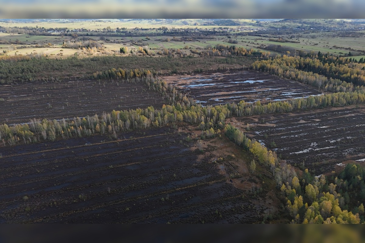 FOTO: Bolo najväčšie na Slovensku. Dnes vzácne rašelinisko na Orave mizne, foto 1