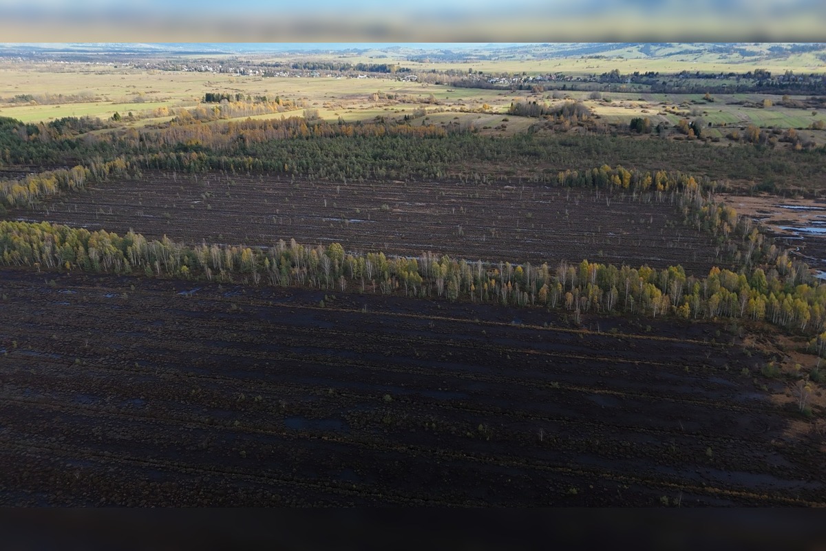 FOTO: Bolo najväčšie na Slovensku. Dnes vzácne rašelinisko na Orave mizne, foto 3