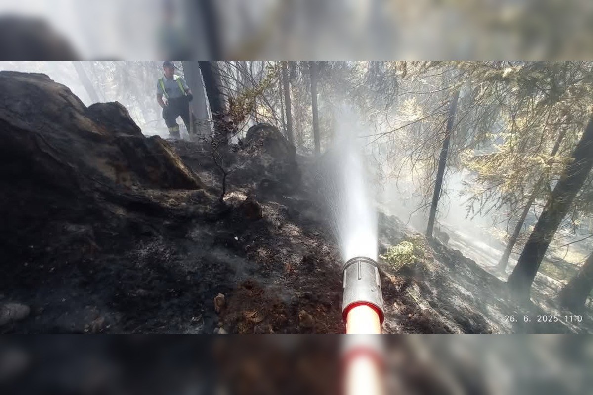 FOTO: Trojdňový boj s lesným požiarom očami hrádockých hasičov, foto 4