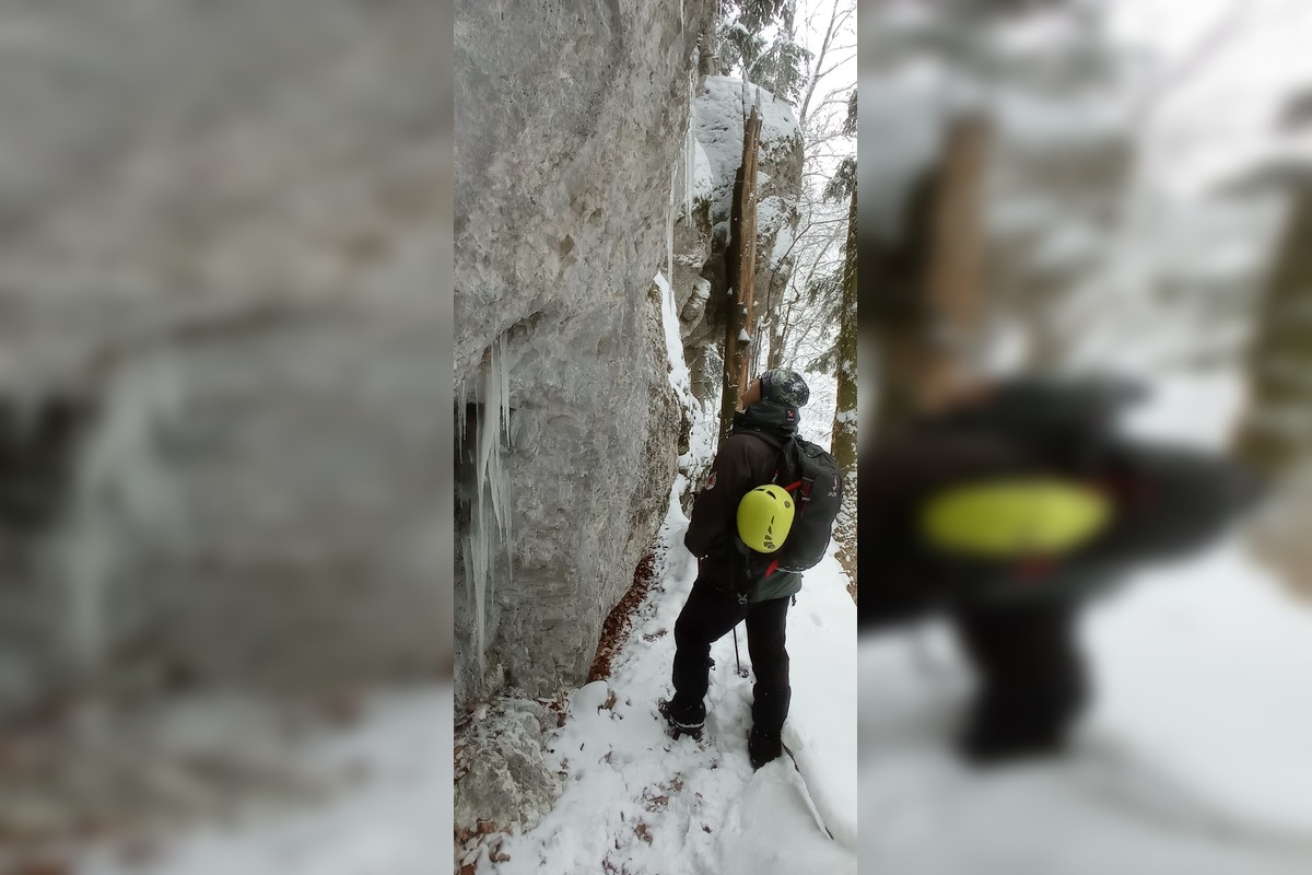 FOTO: Prebudenie ich môže zabiť: Vo Veľkej Fatre zachraňujú prvé vyčerpané netopiere tejto zimy , foto 6