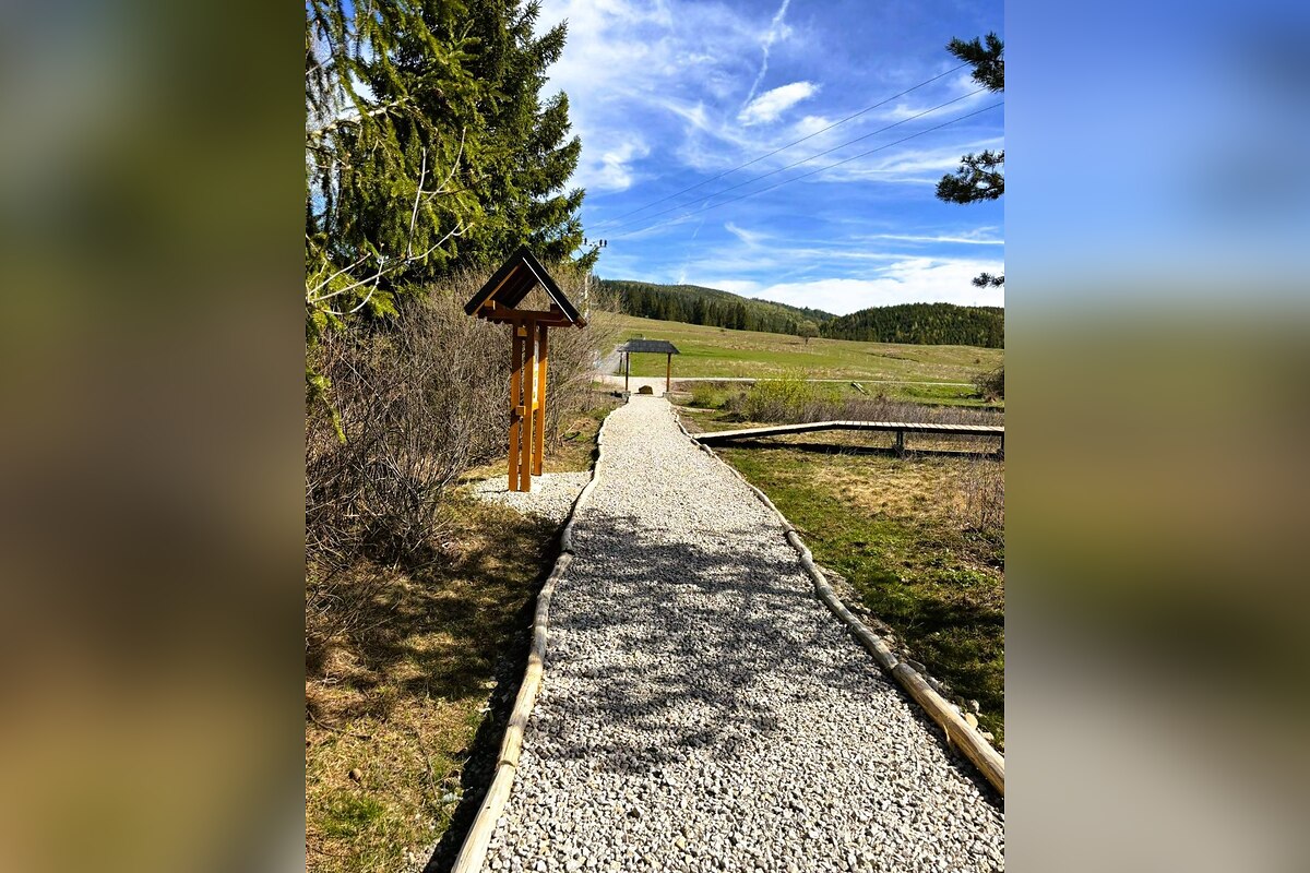 FOTO: V srdci oravského rašeliniska stoja gigantické zvieratá. Chodník zvládnu aj rekreační turisti, foto 6