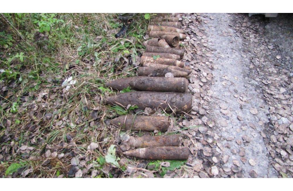 Nález vojnovej munície v Žilinskom kraji, foto 3