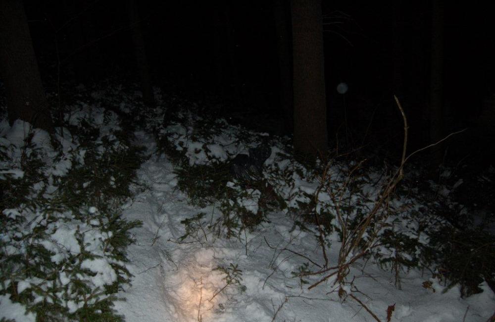 Po naháňačke v snehu chytili zlodejov, ktorí vykradli potraviny, foto 5