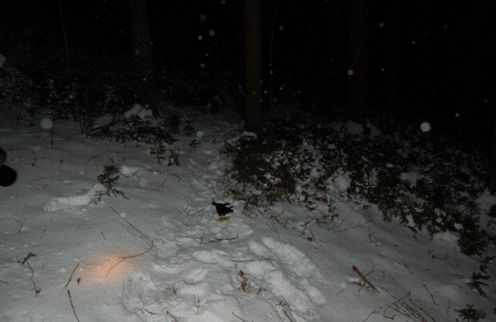 Po naháňačke v snehu chytili zlodejov, ktorí vykradli potraviny, foto 9