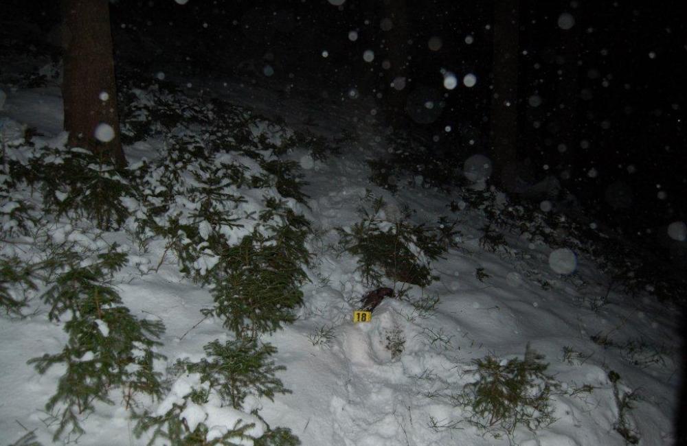 Po naháňačke v snehu chytili zlodejov, ktorí vykradli potraviny, foto 10