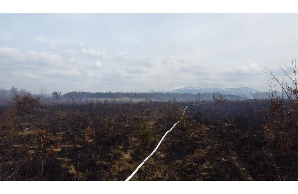 Požiar lesa v Trnovom 25.3.2015, foto 2