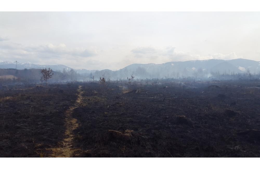 Požiar lesa v Trnovom 25.3.2015, foto 3