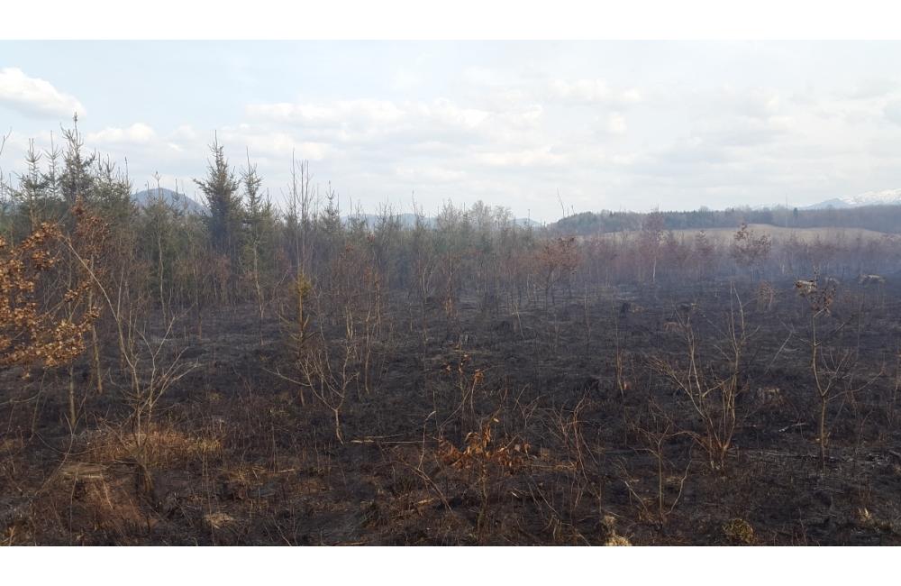 Požiar lesa v Trnovom 25.3.2015, foto 4