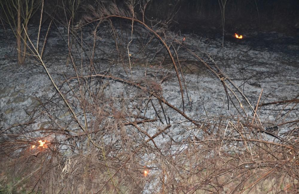 Požiar trávnatých porastov v Trnovom v sobotu 8.marca 2014, foto 4
