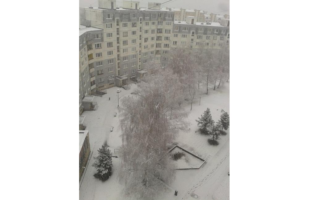 Príchod zimy 12.2.2014, foto 17
