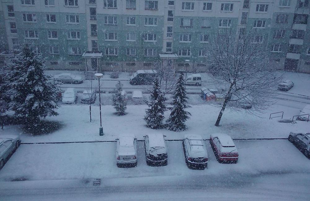 Príchod zimy 12.2.2014, foto 21