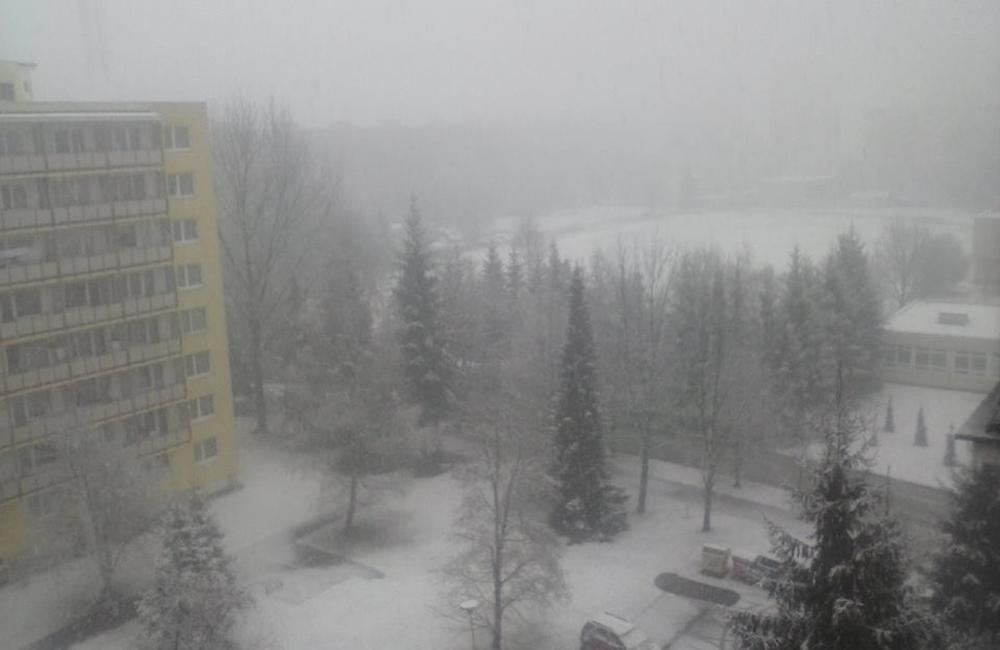 Príchod zimy 12.2.2014, foto 25