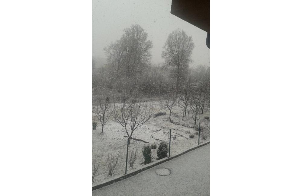Príchod zimy 12.2.2014, foto 5