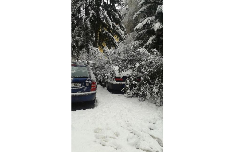 V noci padali stromy na cestu na viacerých miestach v Žiline , foto 2