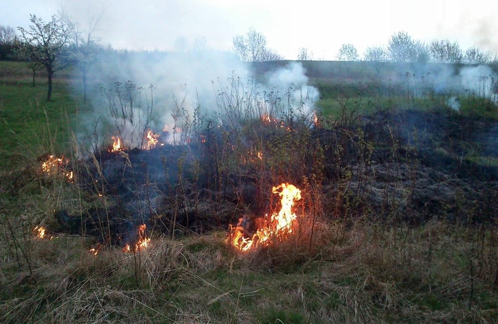 V Trnovom opäť horelo, tentokrát zasahovali dobrovoľní hasiči, foto 3