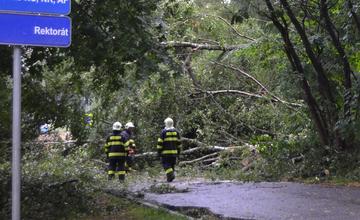Spadnutý strom na ceste pri Žilinskej univerzite 25.7.2015