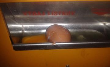 Vajíčka v automatoch na cestovné lístky