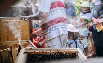 Bezplatný kurz pre začínajúcich včelárov