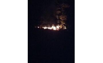 Požiar lesa na Hradisku 11.05.2016