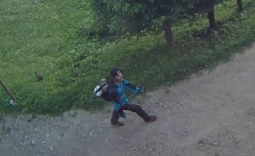 Ukradnutý pes Rúfus z Chaty pod Suchým a páchateľ