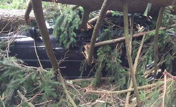 V Rajeckých Tepliciach spadli na autá stromy