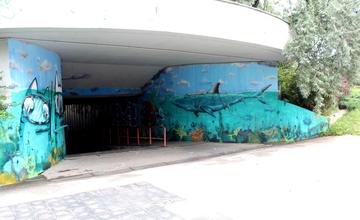 Grafitti a stree-art podchod pri plavárni ulica Vysokoškolákov 