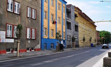 Výsadba nových stromov ulica 1. mája 