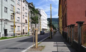 Výsadba nových stromov ulica 1. mája 