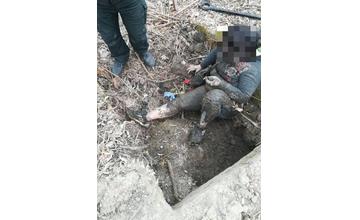 Žena zaseknutá v šachte pri Brodne
