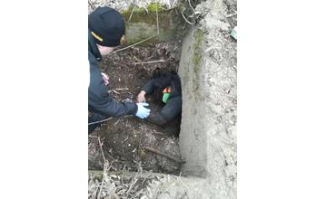 Žena zaseknutá v šachte pri Brodne