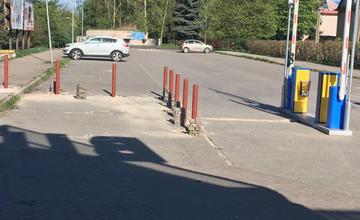 Regulácia parkovania pri predajni Billa na sídlisku Hliny