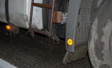 Kamionista havaroval s takmer 3 promile v krvi