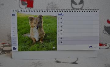 Žilinský útulok kalendáre 2019