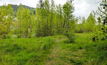 Úsek medzi Budatínskym mostom a Hydrouzlom spevnia asfaltom, vznikne nová cyklotrasa