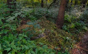 Záhradkári a dobrovoľníci čistili okraj žilinského lesoparku od bioodpadu