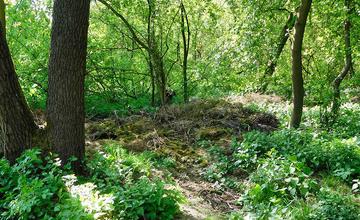 Záhradkári a dobrovoľníci čistili okraj žilinského lesoparku od bioodpadu