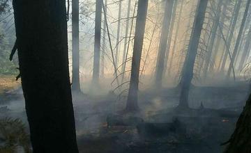 FOTO: Pri hasení lesného požiaru na Orave zasahuje 30 hasičov, zasiahnutá plocha je 1500 m2