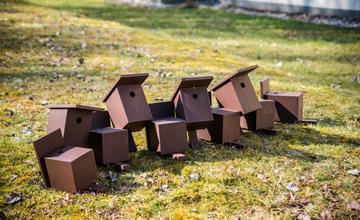 FOTO: V oddychovej zóne FRI UNIZA vybudovali ekodvor s búdkami pre vtáčiky