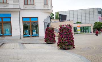 FOTO: V centre Žiliny rozmiestňujú 20 kvetinových pyramíd s rozkvitnutými petúniami
