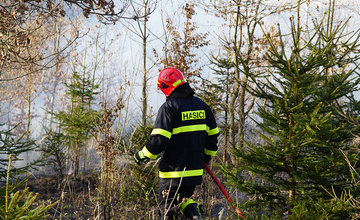 FOTO: Les medzi Rosinou a Trnovým je v plameňoch, zasahuje množstvo hasičov