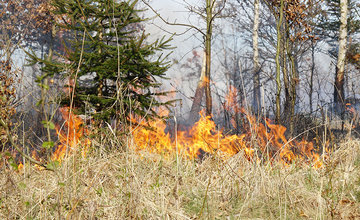 FOTO: Les medzi Rosinou a Trnovým je v plameňoch, zasahuje množstvo hasičov