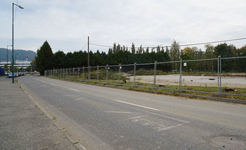 FOTO: Pri revitalizácii atletického areálu univerzity odstránili stromoradie s brezami