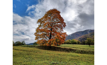 FOTO: Výber jesenných fotografií zachytených čitateľmi v Žilinskom kraji