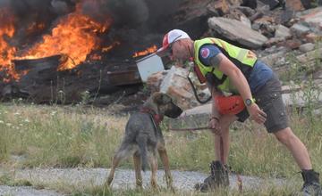 FOTO: HZS začala s výcvikom mladých psov, ktorí budú pomáhať s hľadaním nezvestných osôb